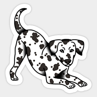 Playful Dalmatian Puppy Sticker